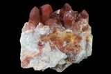 Natural, Red Quartz Crystal Cluster - Morocco #135699-1